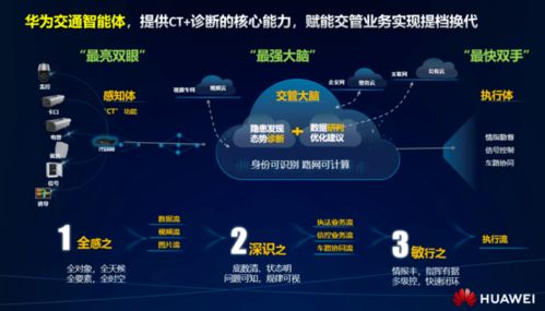 智慧交通領域 應用軟件服務的終極戰(zhàn)役即將引爆