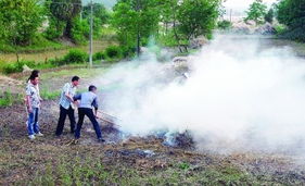 禁止焚燒秸稈，推動大氣污染治理，守護生活環境